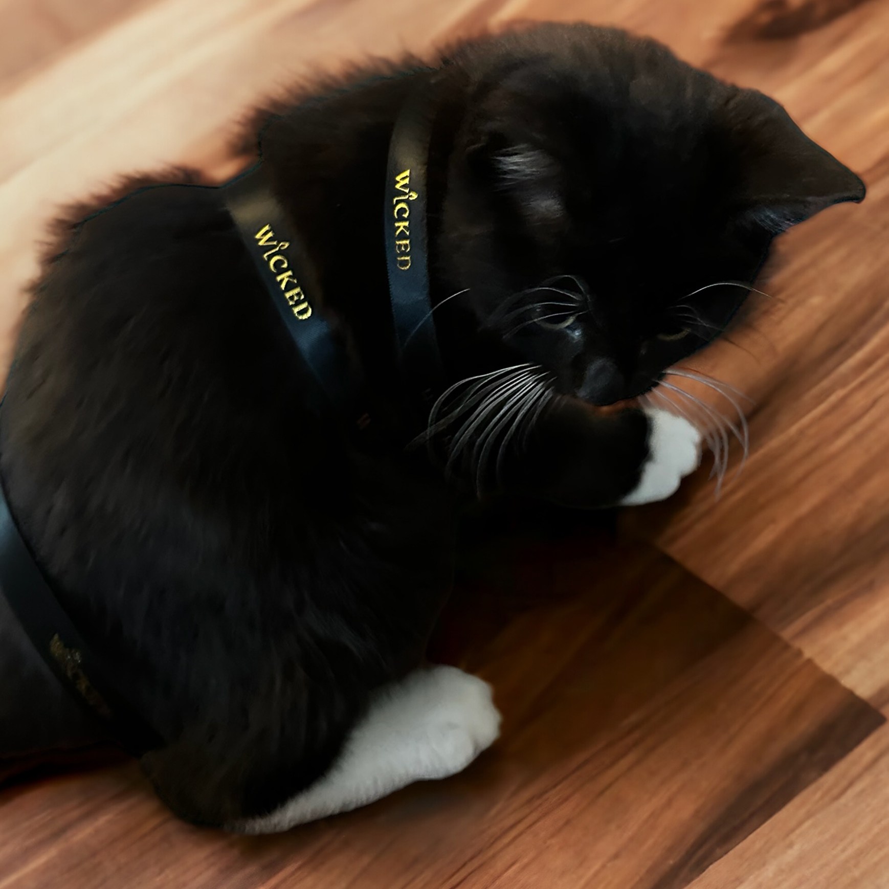 Wicked Candle Art productverpakking webshop